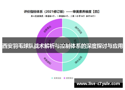 西安羽毛球队战术解析与控制体系的深度探讨与应用