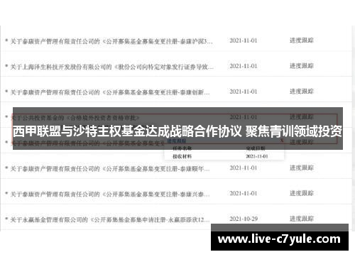 西甲联盟与沙特主权基金达成战略合作协议 聚焦青训领域投资 西甲联盟与沙特主权基金达成战略合作协议 聚焦青训领域投资